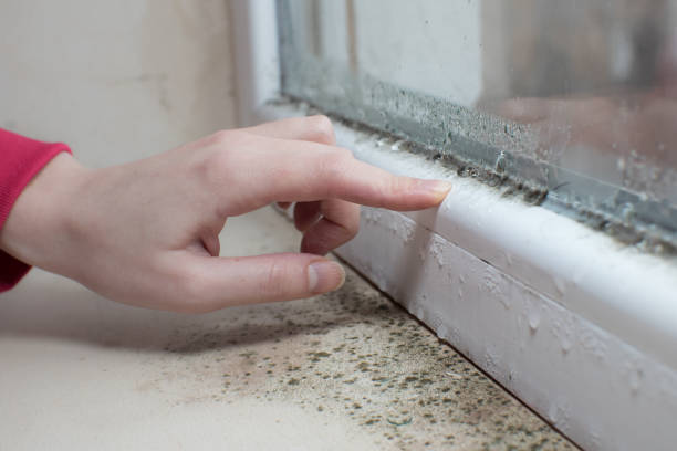 Best Industrial Mold Remediation  in Crooked River Ranch, OR